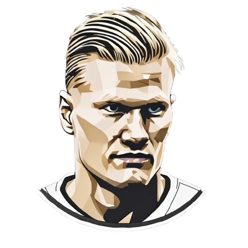 Erling Haaland logo